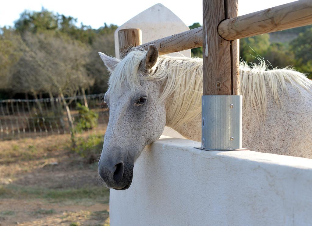 Village Naturiste La Chiappa Πόρτο Βέκιο Εξωτερικό φωτογραφία