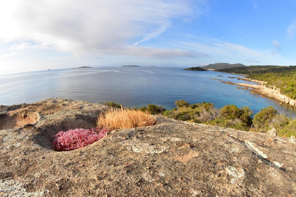 Village Naturiste La Chiappa Πόρτο Βέκιο Εξωτερικό φωτογραφία